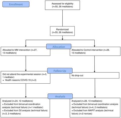 Mindfulness meditation and bimanual coordination control: study of acute effects and the mediating role of cognition